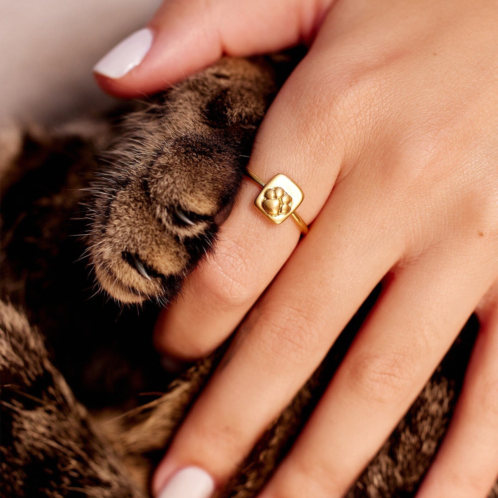 Paw Ring - Image 2